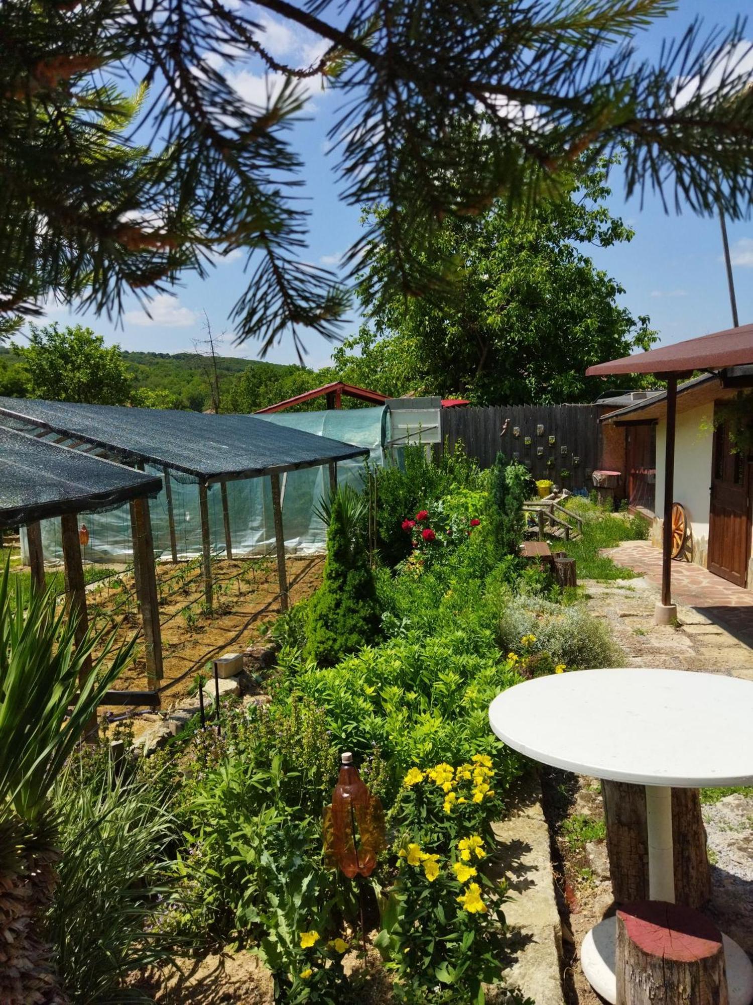 Къща Под Наем Petrova Hotel Cherven  Luaran gambar